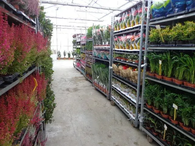 compositions florales